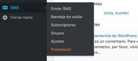 Wordpress SMS. Menu lateral del plugin WP-SMS